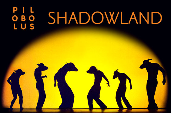 Pilobolus-Shadowland-destaque.jpg